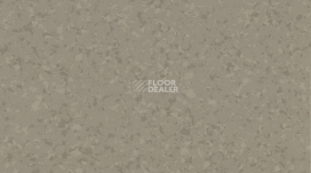 Линолеум Gerflor Mipolam Symbioz 6043 WOOD фото 1 | FLOORDEALER
